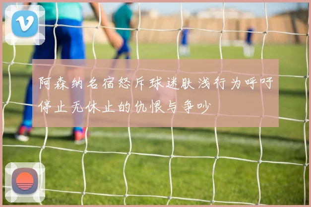 阿森纳名宿怒斥球迷肤浅行为呼吁停止无休止的仇恨与争吵